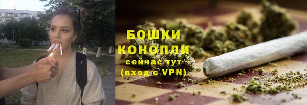 прущие крисы Инта
