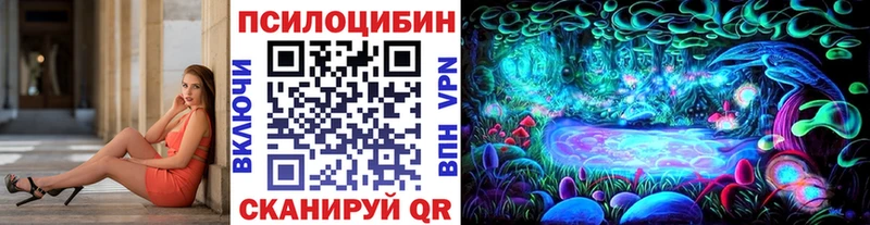 Псилоцибиновые грибы MAGIC MUSHROOMS  Купить закладки  Шуя 